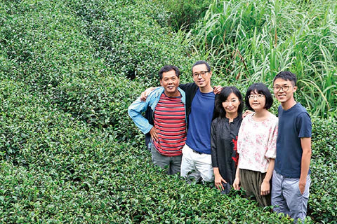 「山不枯」友善土地 種出最純淨的台灣茶